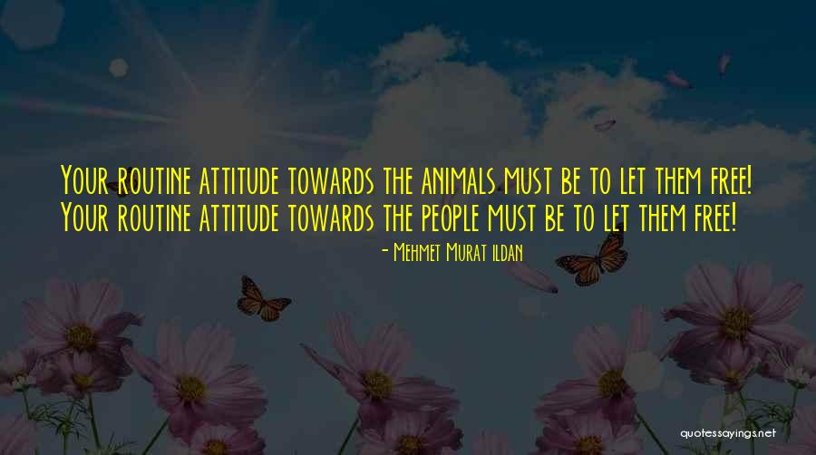 Akuba Tree Quotes By Mehmet Murat Ildan Akuba Tree Quotes By Mehmet Murat Ildan