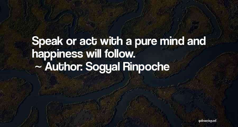Al Alcorn Quotes By Sogyal Rinpoche