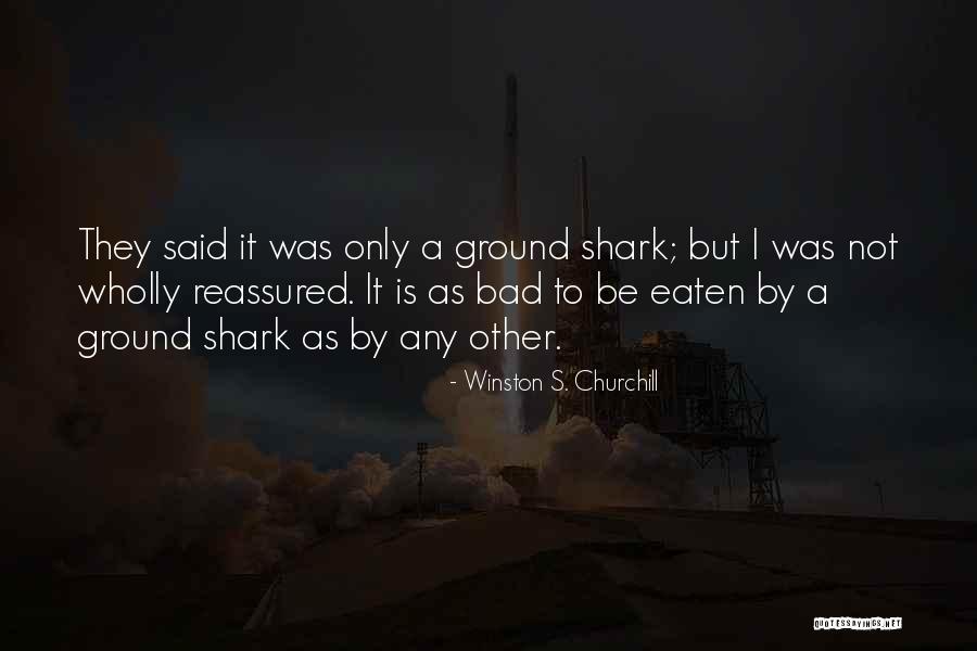 Al Anon 3 C S Quotes By Winston S. Churchill
