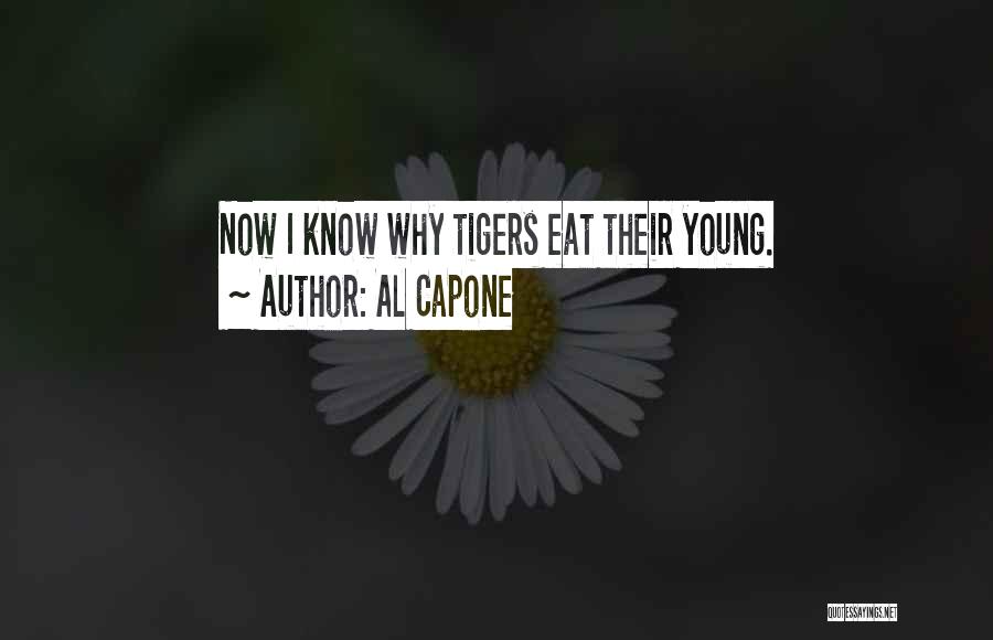 Al Capone Quotes 945686