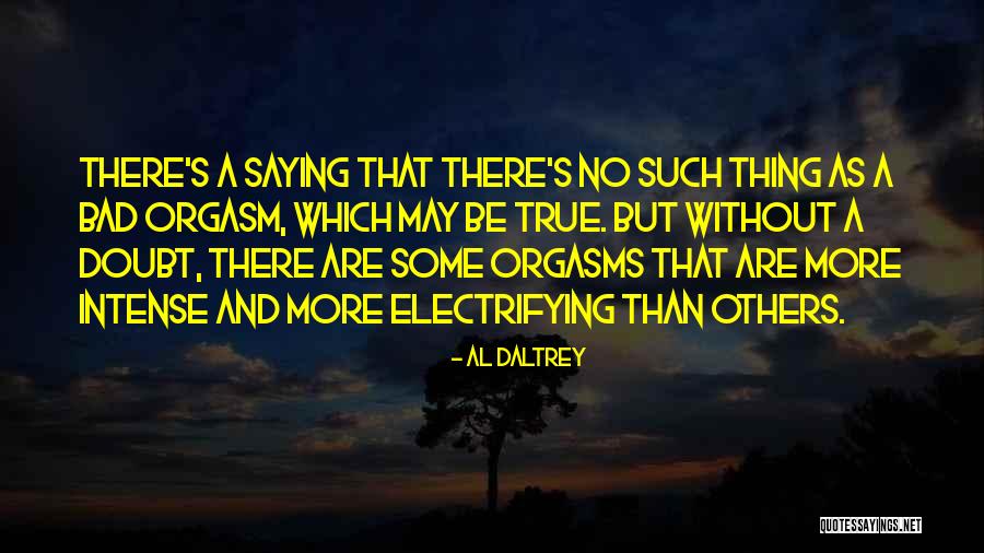 Al Daltrey Quotes 1484585