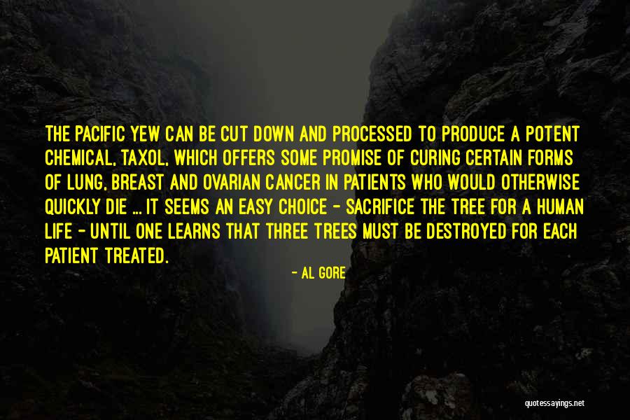 Al Gore Quotes 998258 Al Gore Quotes 998258