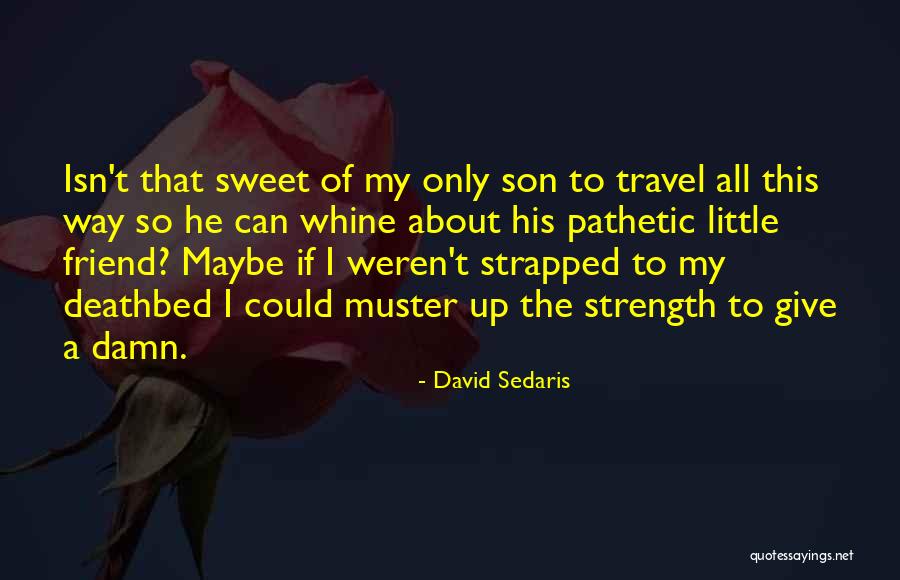Al Hussaini Automation Quotes By David Sedaris Al Hussaini Automation Quotes By David Sedaris