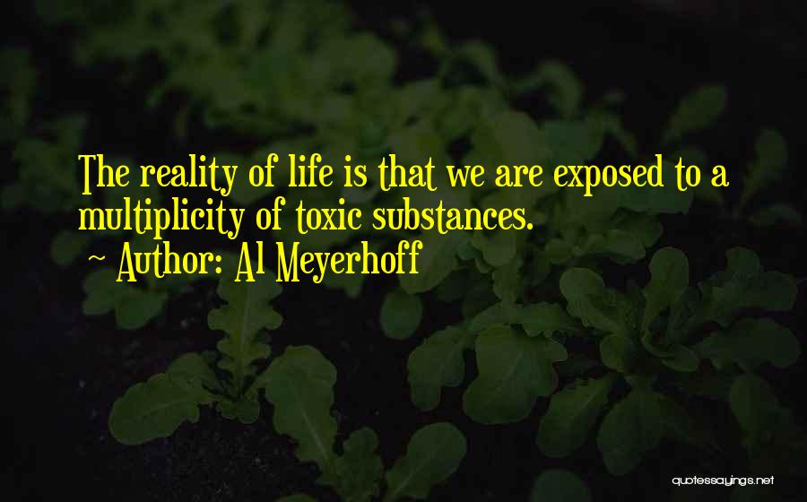 Al Meyerhoff Quotes 972623