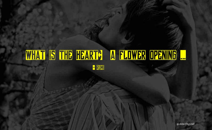 Al Mulla Finance Quotes By Rumi Al Mulla Finance Quotes By Rumi