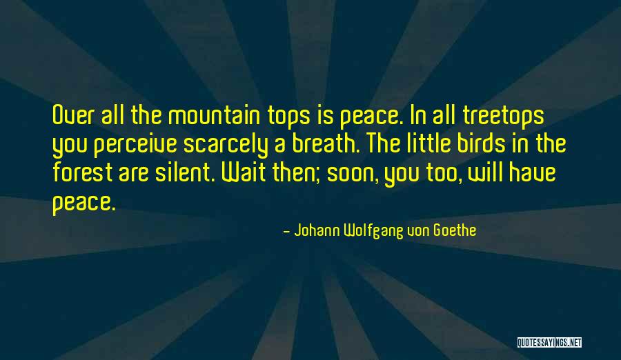 Al Qadr Surah Quotes By Johann Wolfgang Von Goethe Al Qadr Surah Quotes By Johann Wolfgang Von Goethe