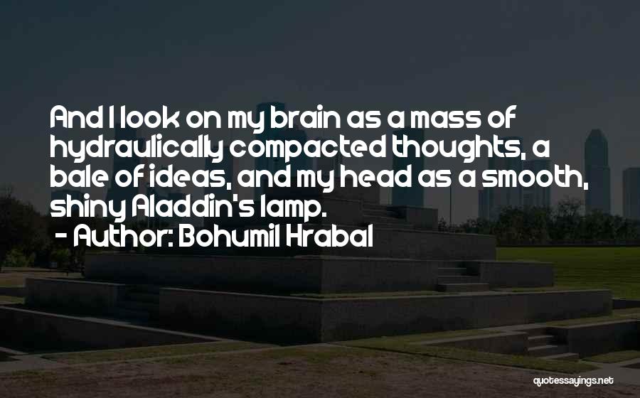 Aladdin Lamp Quotes By Bohumil Hrabal