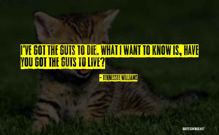 Alafouzos Savvidis Quotes By Tennessee Williams Alafouzos Savvidis Quotes By Tennessee Williams