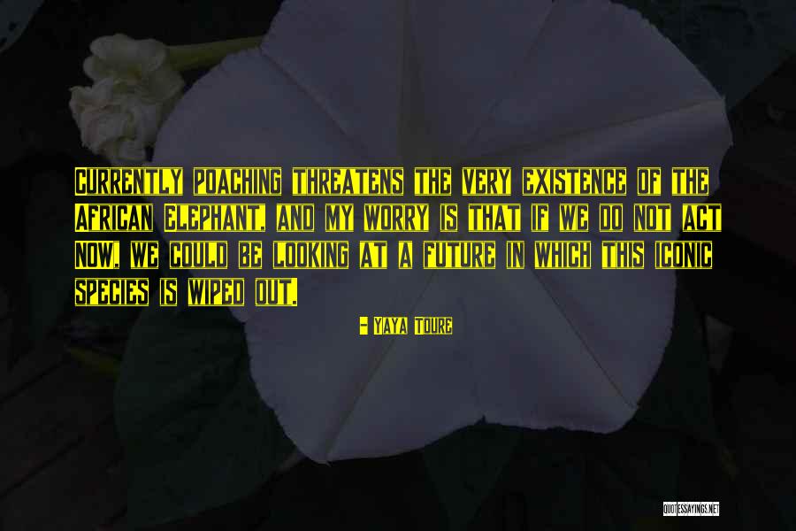 Alaihissalam Quotes By Yaya Toure Alaihissalam Quotes By Yaya Toure