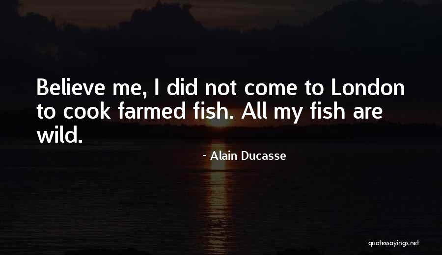 Alain Ducasse Quotes 505784