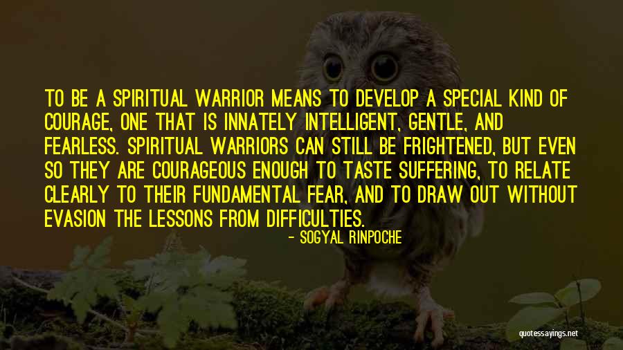 Alaina Mathers Quotes By Sogyal Rinpoche Alaina Mathers Quotes By Sogyal Rinpoche