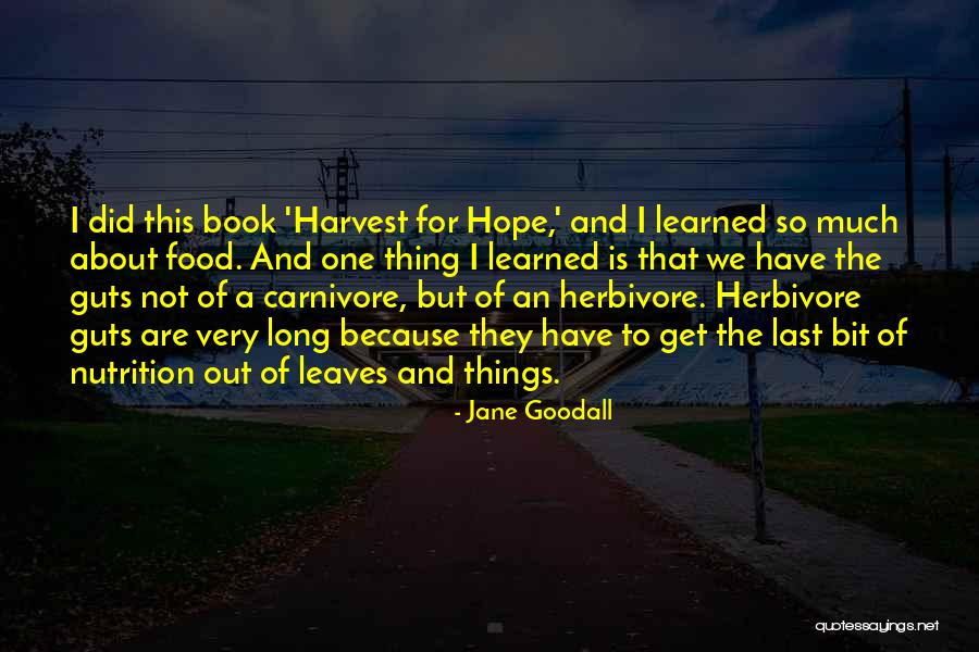 Alaisa Blunk Quotes By Jane Goodall