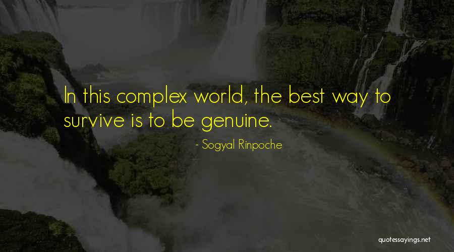 Alalmi Quotes By Sogyal Rinpoche Alalmi Quotes By Sogyal Rinpoche
