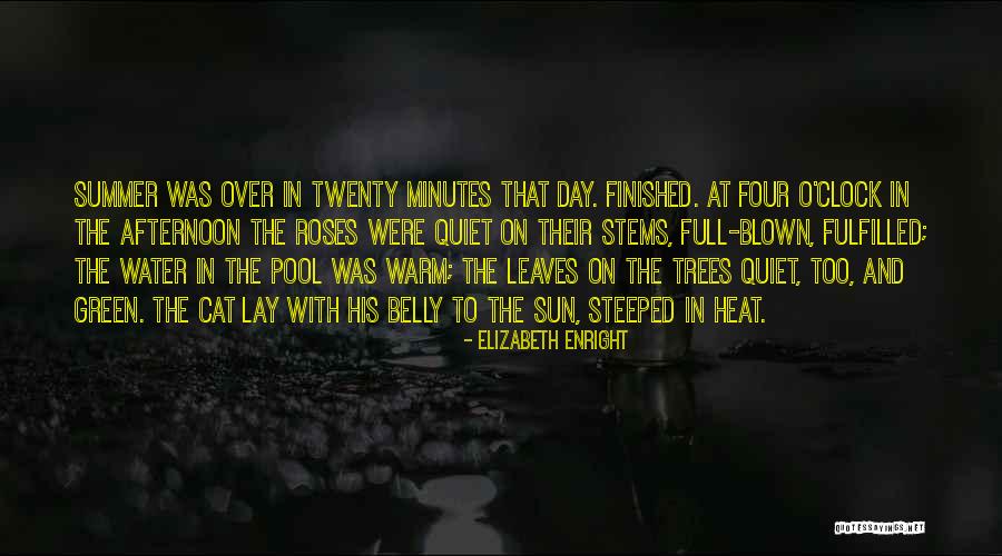 Alamanda Villa Quotes By Elizabeth Enright Alamanda Villa Quotes By Elizabeth Enright