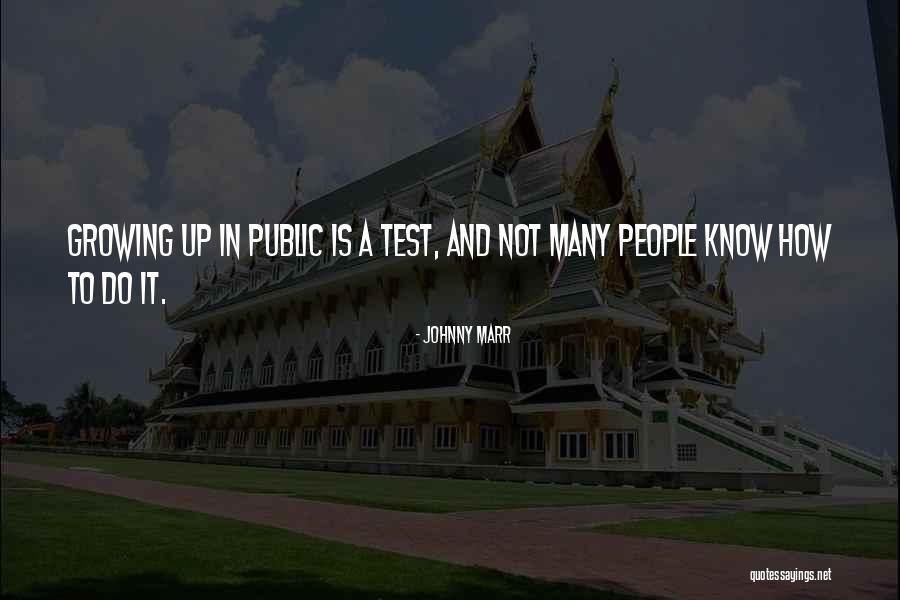 Alamiri Quotes By Johnny Marr Alamiri Quotes By Johnny Marr