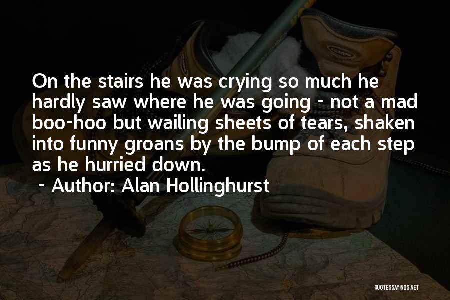 Alan Hollinghurst Quotes 601392