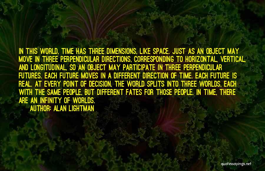 Alan Lightman Quotes 1985458