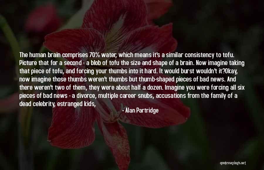Alan Partridge Quotes 1494228 Alan Partridge Quotes 1494228