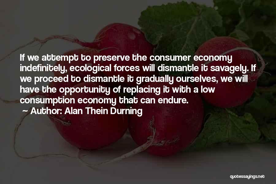 Alan Thein Durning Quotes 1293744