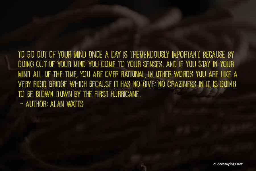 Alan Watts Quotes 1642102