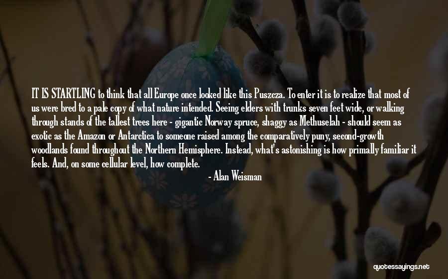 Alan Weisman Quotes 423449