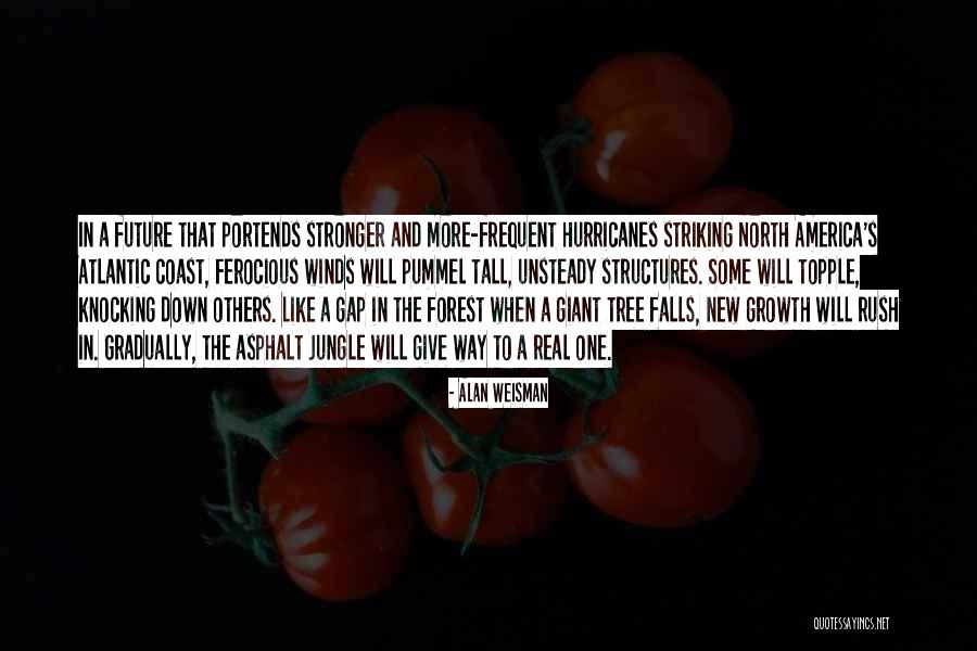 Alan Weisman Quotes 751191 Alan Weisman Quotes 751191