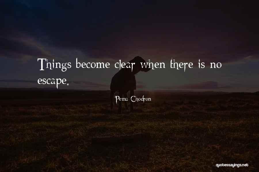 Alaric Tvd Quotes By Pema Chodron Alaric Tvd Quotes By Pema Chodron