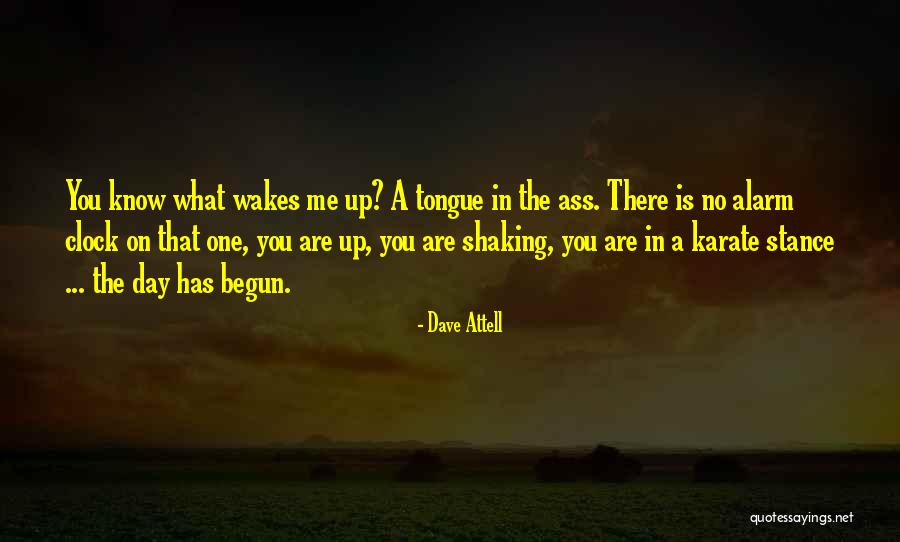 Alarm Clock Quotes By Dave Attell