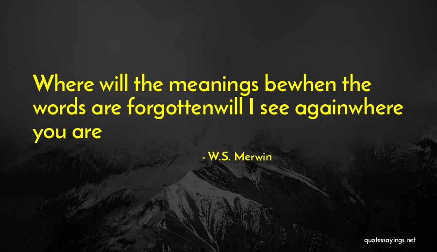Alarms For Doors Quotes By W.S. Merwin