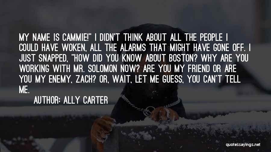 Alarms Quotes By Ally Carter