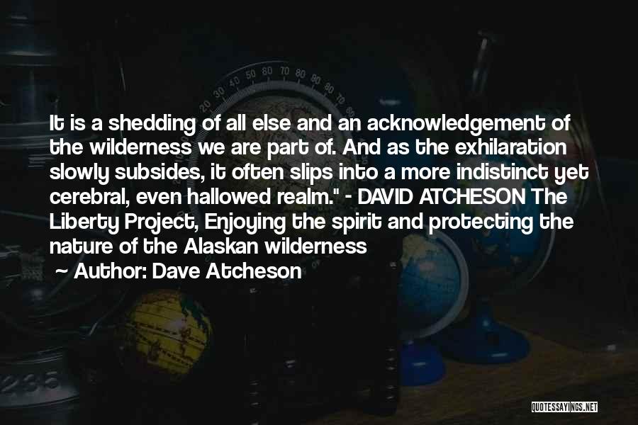 Alaskan Wilderness Quotes By Dave Atcheson