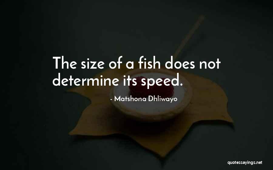 Alawite Muslims Quotes By Matshona Dhliwayo