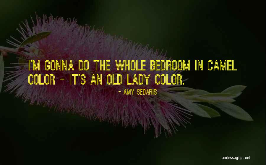 Alazay As Always Quotes By Amy Sedaris Alazay As Always Quotes By Amy Sedaris