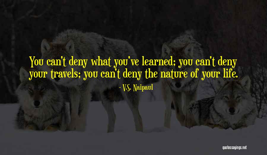 Alb Ndigas Caseras Quotes By V.S. Naipaul Alb Ndigas Caseras Quotes By V.S. Naipaul