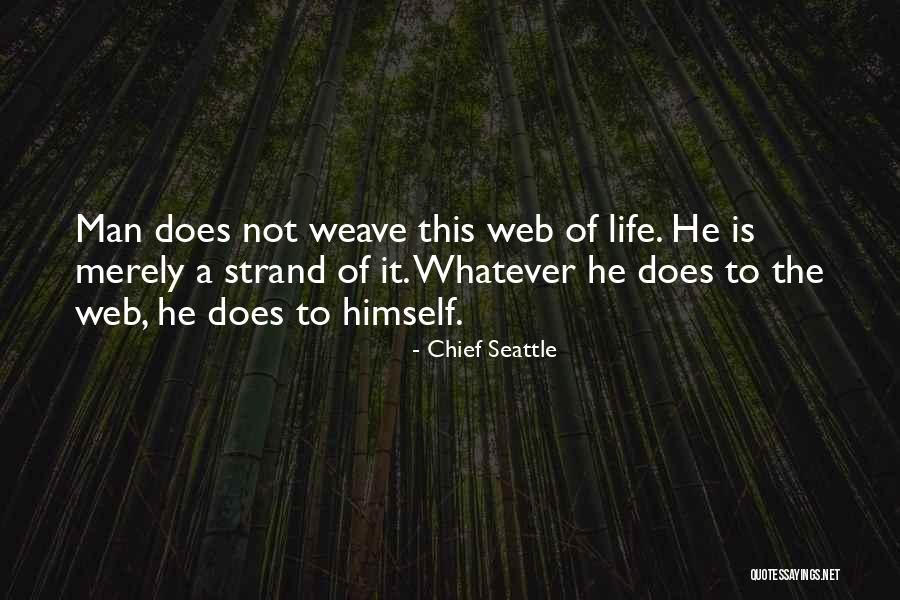 Albari O R As Quotes By Chief Seattle Albari O R As Quotes By Chief Seattle