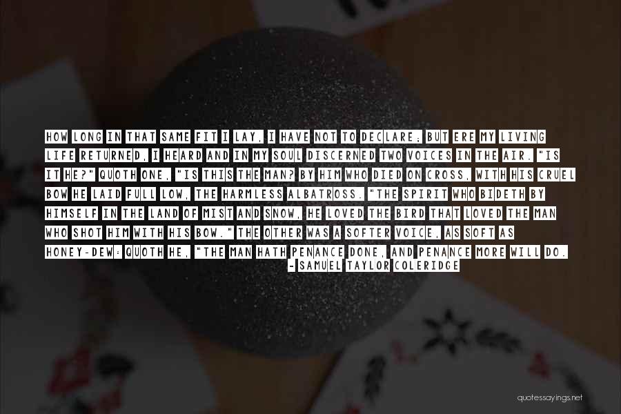 Albatross Bird Quotes By Samuel Taylor Coleridge Albatross Bird Quotes By Samuel Taylor Coleridge