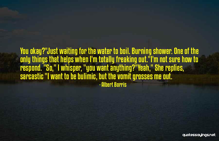 Albert Borris Quotes 710388