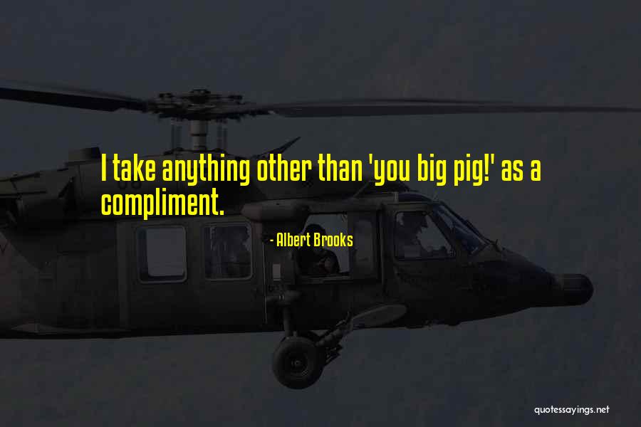 Albert Brooks Quotes 1020541