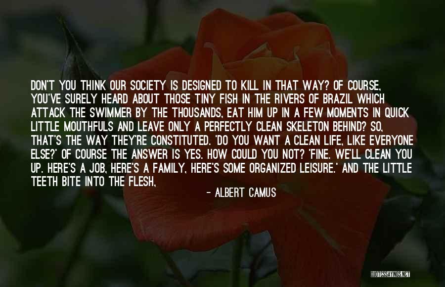 Albert Camus Existentialism Quotes By Albert Camus Albert Camus Existentialism Quotes By Albert Camus