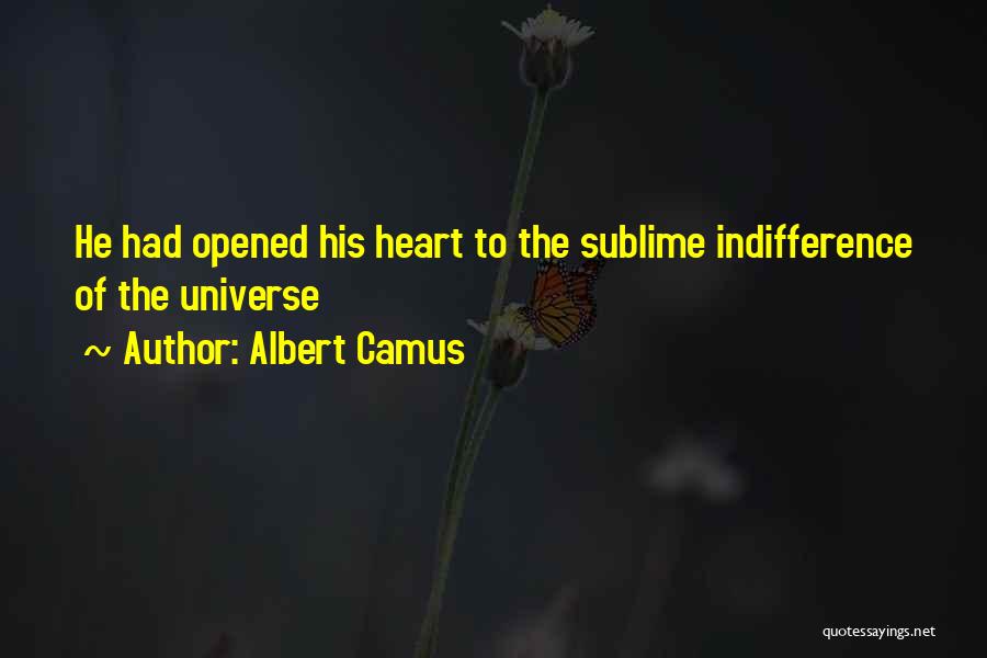 Albert Camus Quotes 1632380