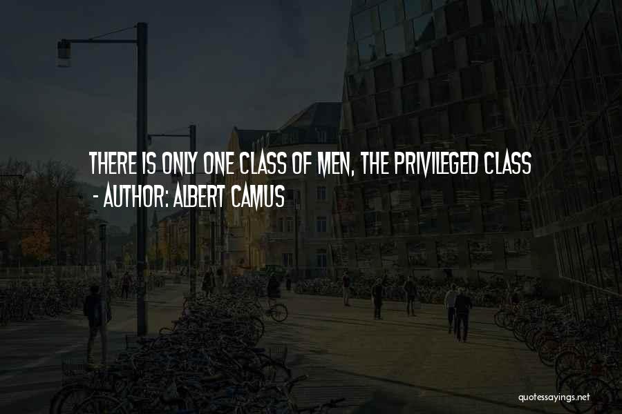 Albert Camus Quotes 374217