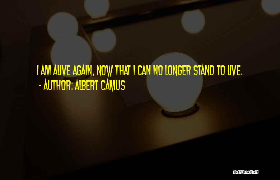 Albert Camus Quotes 711638