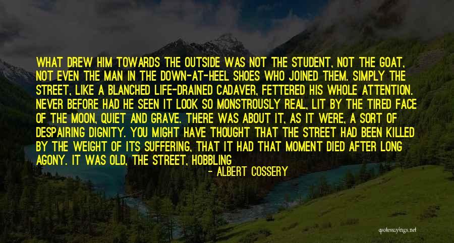Albert Cossery Quotes 1715841 Albert Cossery Quotes 1715841
