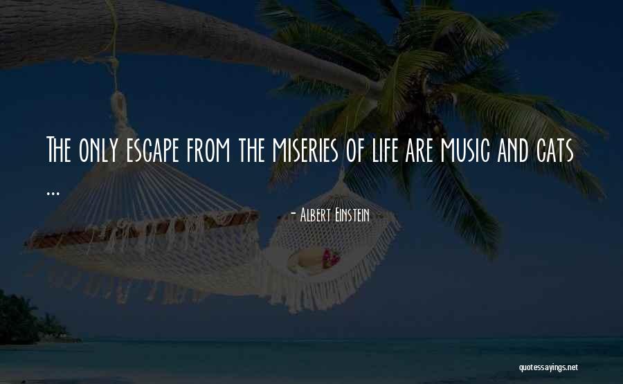 Albert Einstein Life Quotes By Albert Einstein
