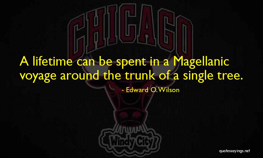 Albert Einstein Non Dual Quotes By Edward O. Wilson Albert Einstein Non Dual Quotes By Edward O. Wilson