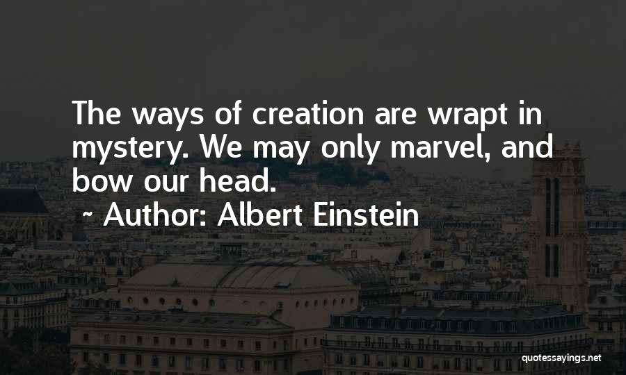 Albert Einstein Quotes 1300461