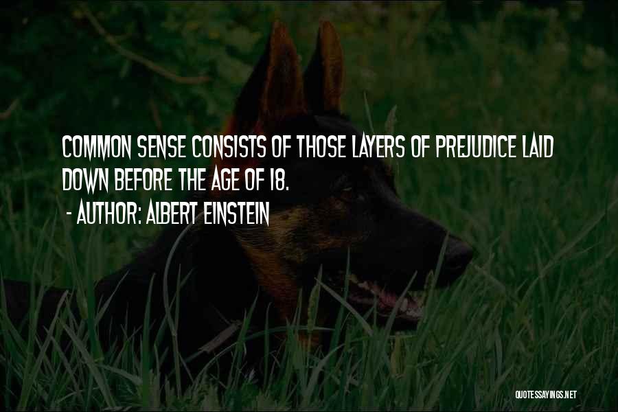 Albert Einstein Quotes 1461563