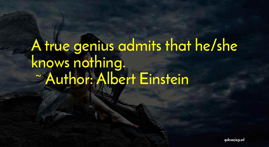 Albert Einstein Quotes 146668