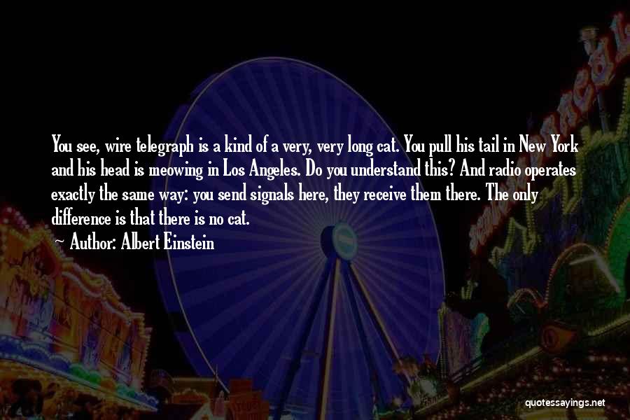 Albert Einstein Quotes 2184455