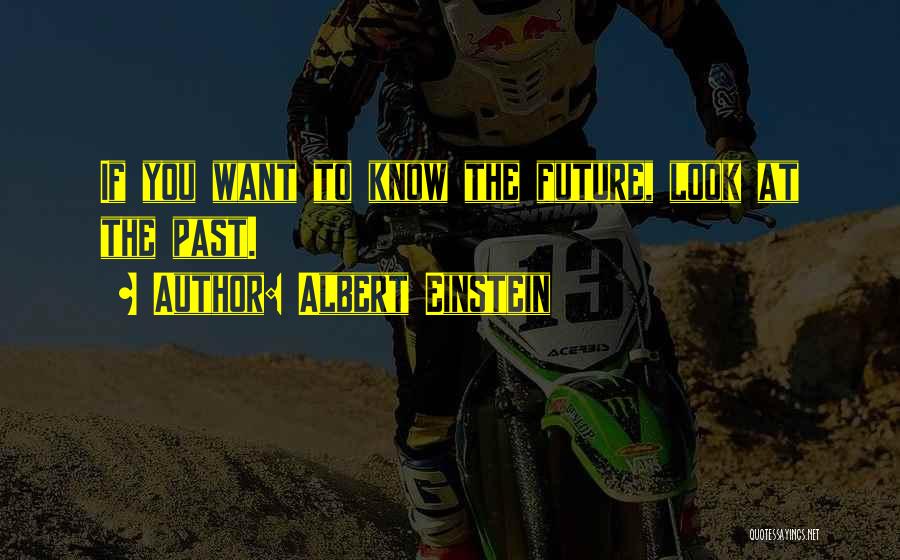 Albert Einstein Quotes 271080